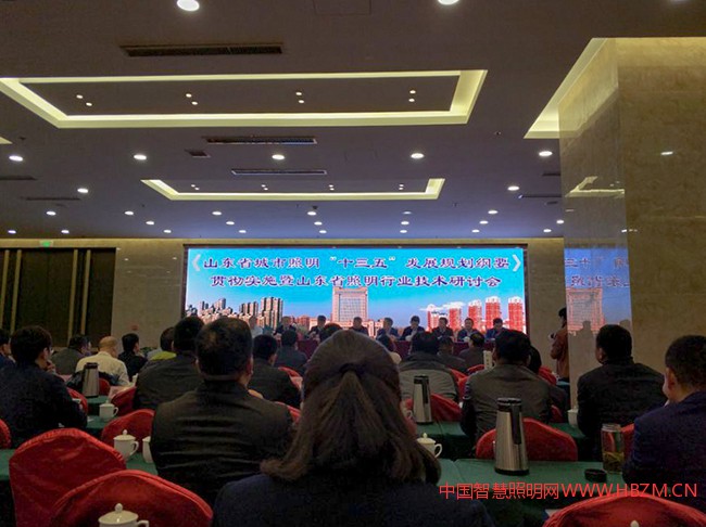 凌寶電氣參加2017年山東省照明&ldquo;十三五&rdquo;規(guī)劃