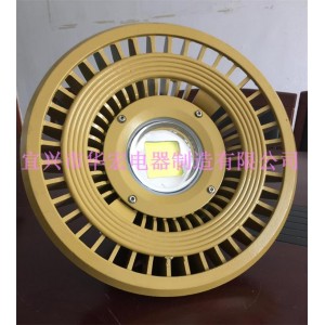 BAD808-H（III)led防爆路燈 Led路燈防爆