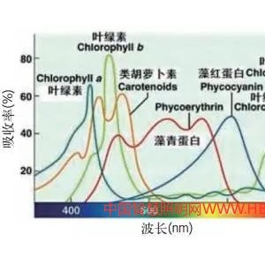 LED植物照明3個常見誤區(qū)及設計建議