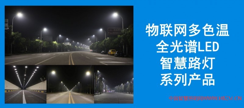 誠招多色溫全光譜LED智慧路燈、RGBW夜景燈飾、智慧燈桿系列產(chǎn)品，城市路燈照明、合同能源管理工程代理商